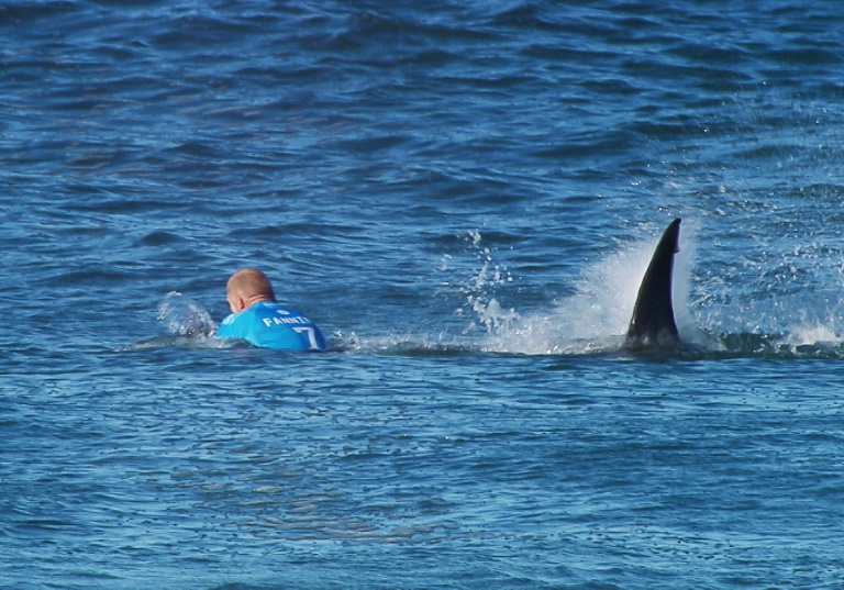WSL/AFP / A World Surf League photo shows Australian surfer Mick Fanning being attacked by a shark during the Final of the Surf Open in Jeffreys Bay on July 19, 2015