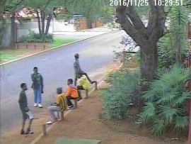 The group of boys captured on CCTV footage before the dog theft incident.