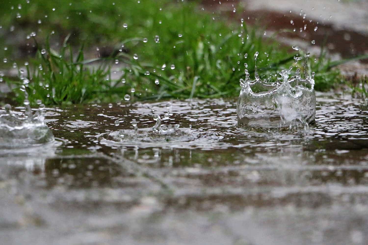 Weather Isolated Showers And Thundershowers Expected In Limpopo