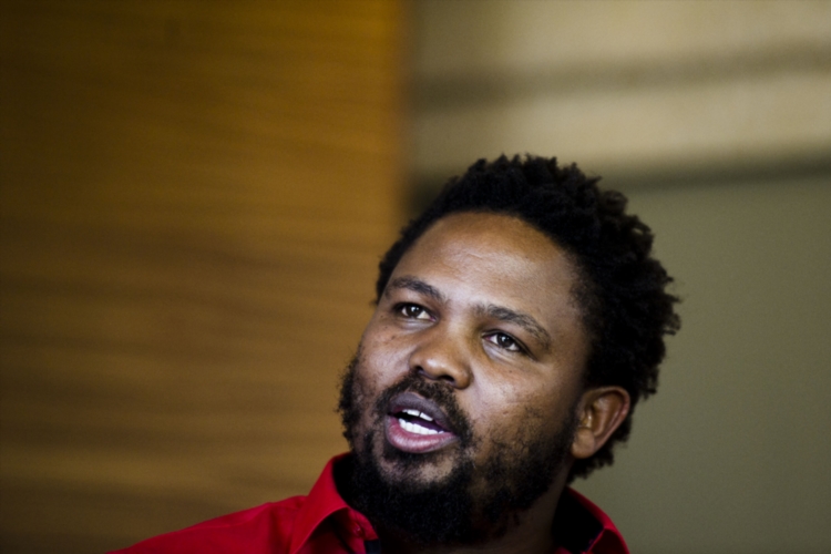 Andile Mngxitama (File Photo by Gallo Images / Foto24 / Theana Breugem)