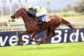 To find an ideal winner you must follow Free State