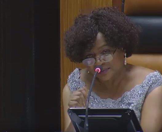 South Africa's parliament descended into a massive brawl today