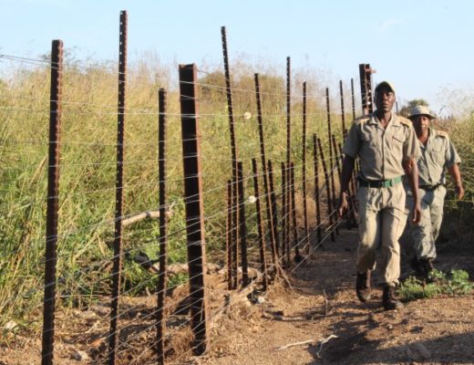 Anti-poaching team