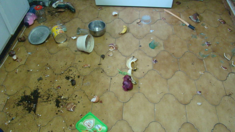 Michael Hickman’s house in Mount Moreland is regularly raided by monkeys, leaving his kitchen in a mess.