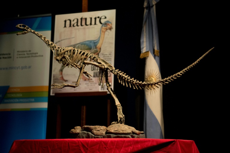 Bizarre 'Frankenstein' chilesaurus is the missing link on dinosaur family tree Bizarre 'Frankenstein' chilesaurus is the missing link on dinosaur family tree