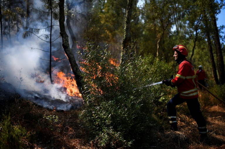 Firefighters Battle Wildfires In Portugal
