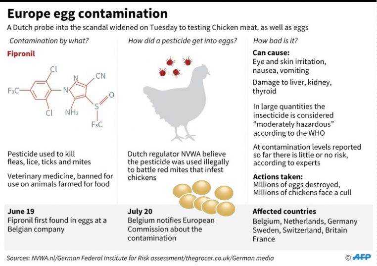 Europe egg contamination