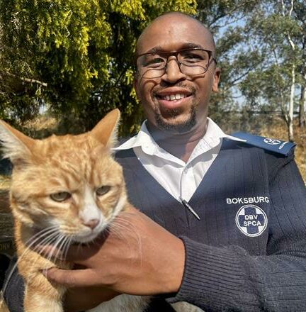 Get to know Boksburg SPCA's newly qualified field officer | Boksburg ...