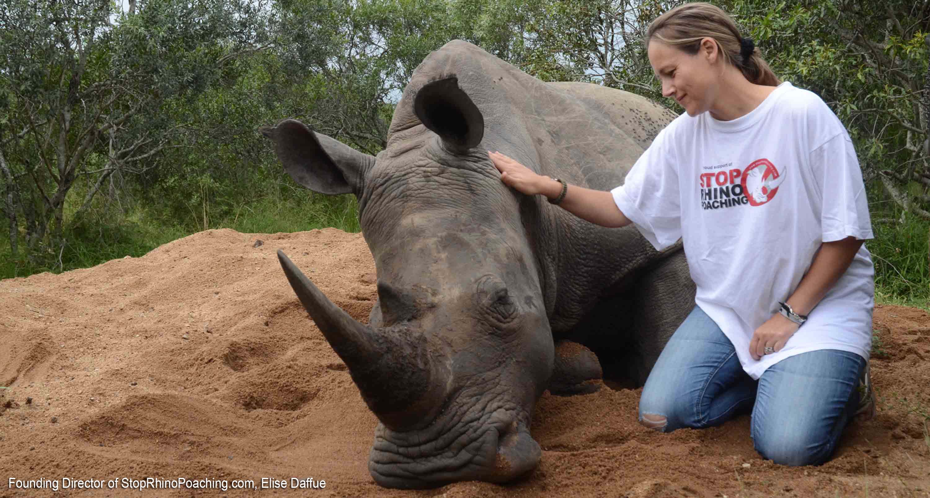 Poachers take rhino battle from bush to courtroom | Lowvelder