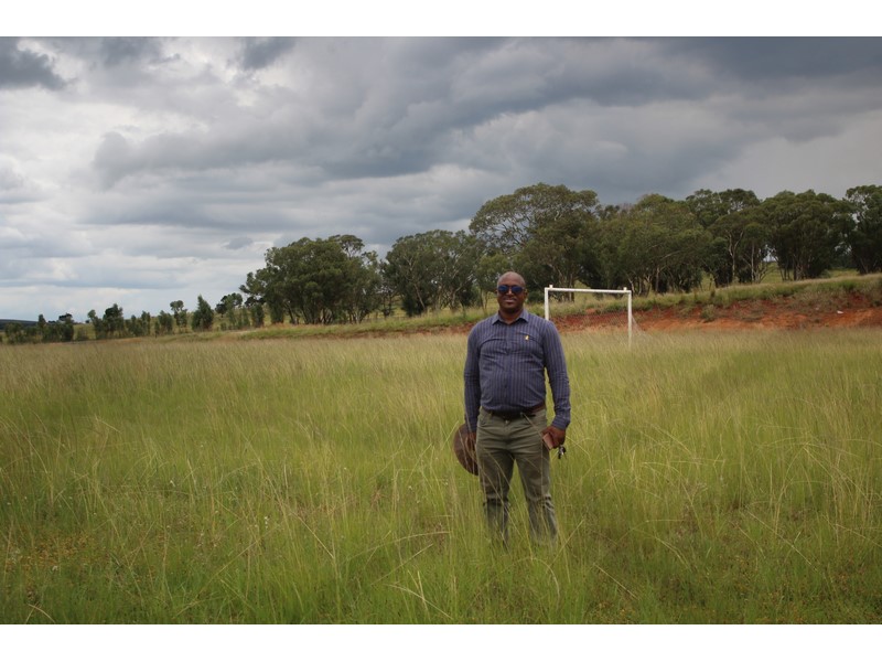 overgrown-grass-hinders-learners-from-training-for-athletics