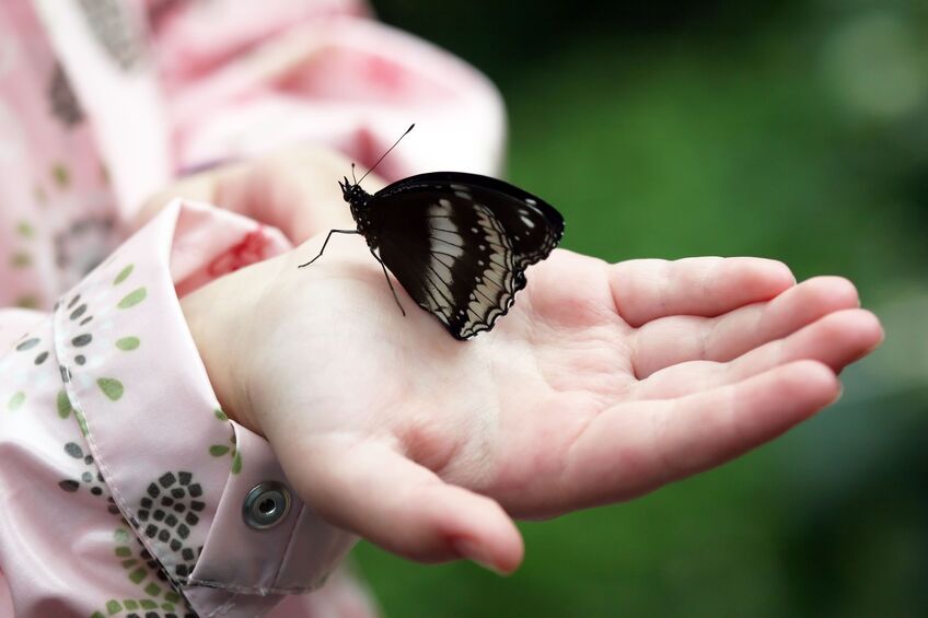 Helping your child overcome a fear of creepy crawlies | Network News