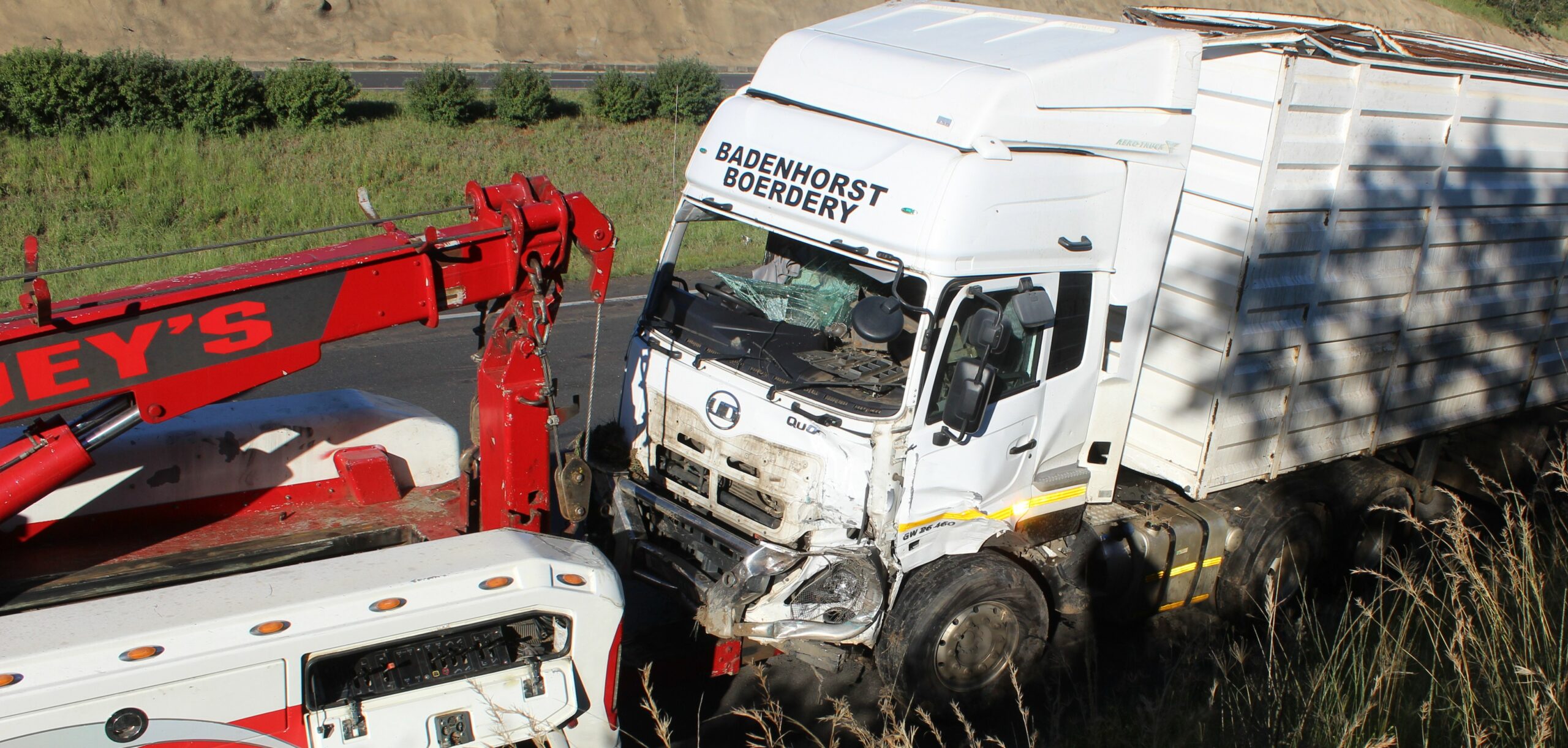 Livestock die in collision on N3 | Northern Natal News