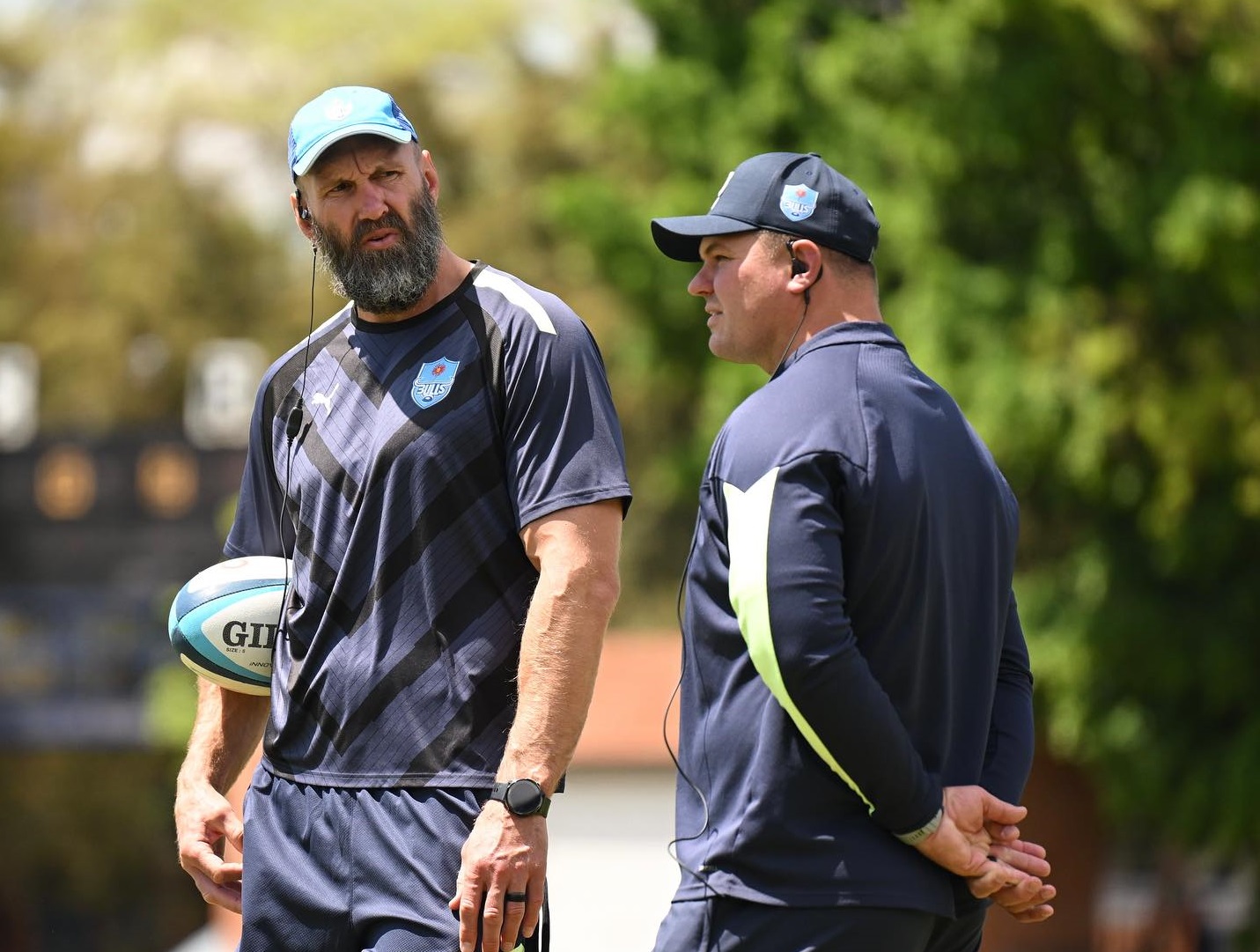 White excited about Bulls’ potential after pre-season with new ...