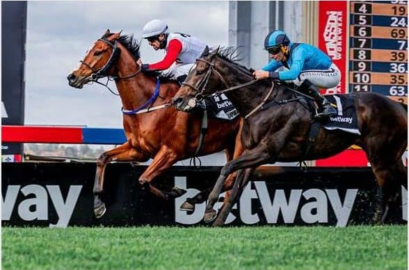 Joburg horse racing at its best | Southern Courier