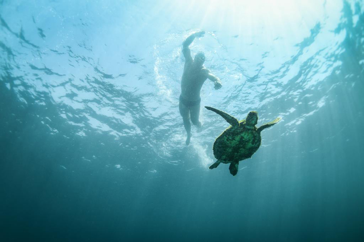 Swim in the sea перевод