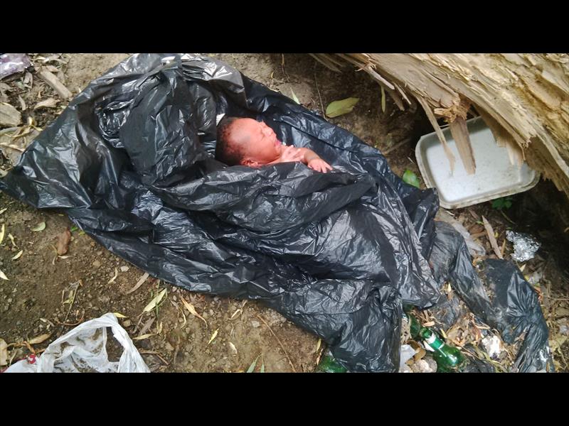 Image result for plastic bag dumped babies