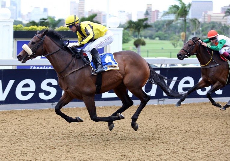 Cape Speed has Gold Cup look | The Citizen