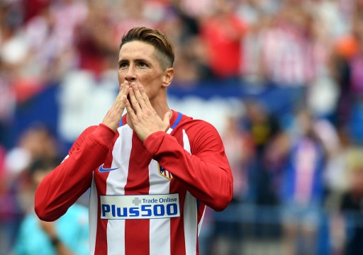 Image result for Fernando Torres