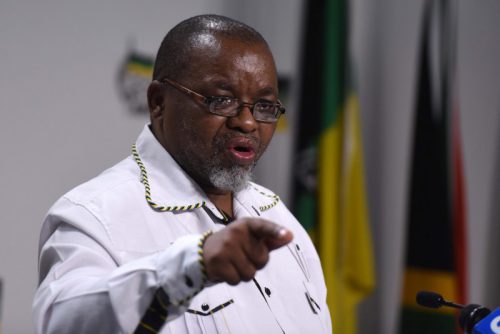 'We do not believe he broke any rules' say police after Mantashe wedding kerfuffle - The Citizen