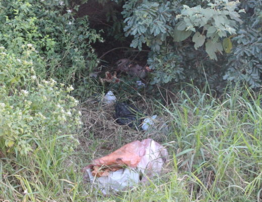 The discarded body bags
