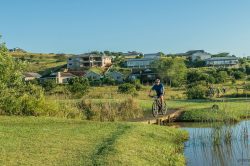 You may not walk yourself or your dog in your own complex or security estate – SAPS - The Citizen