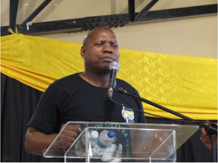 Zweli Mkhize mulls legal action against Montana for ...