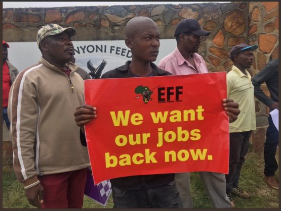 EFF protest against 'unfair dismissals' at Ramaphosa's ...