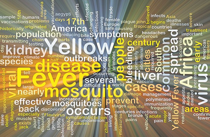The A to Z of yellow fever - The Citizen