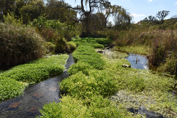 Sanral Wants To Become One With Nature The Citizen