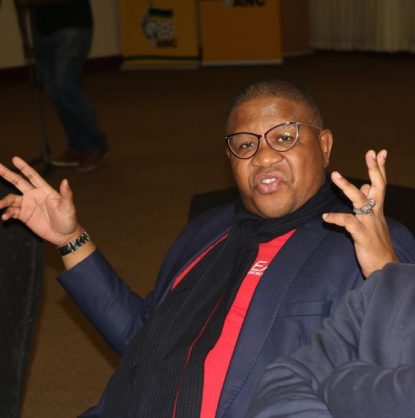 Image result for mbalula