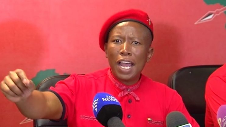Julius Malema. Picture: EFF Twitter. 
