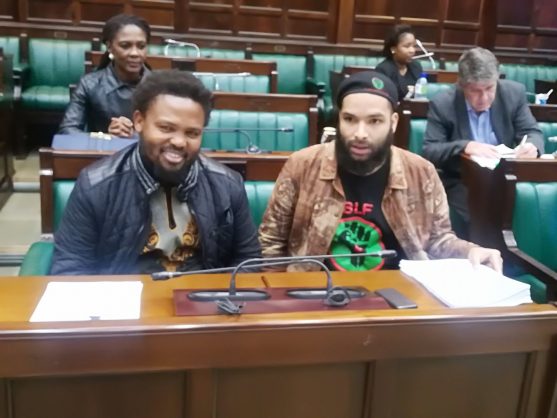 BLF leader Andile Mngxitama and spokesperson Lindsay Maasdorp at the oral presentations on the possible amendment of section 25 of the constitution to allow for land expropriation without compensation. Photo: Twitter
