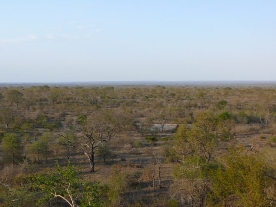 Kruger Park ranger search is still on