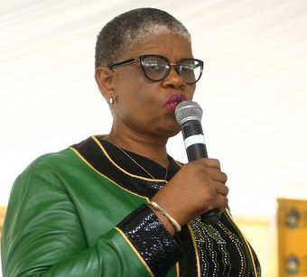 Zandile Gumede Case Postponed After Bumpy Start The Citizen