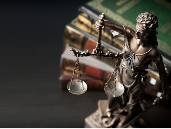 https://citizen.co.za/wp-content/uploads/2019/12/lady-justice-statue-of-justice-in-library-picture-id1070981872-557x418.jpg