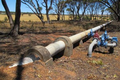 36-hour water shutdown scheduled for Kempton Park next week