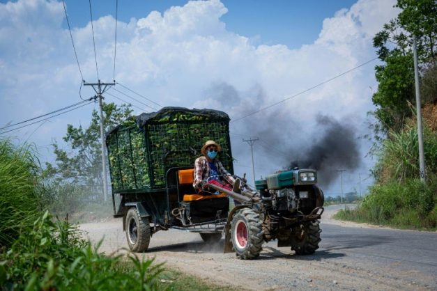 China offers farmers cash to give up wildlife trade