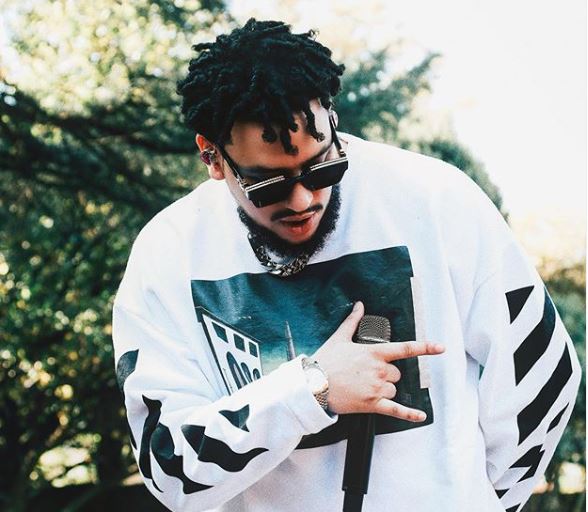 Did Aka Just Throw Shade At Boity For Calling Men Unemployed Roaches The Citizen