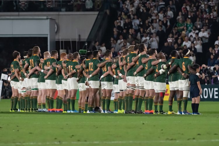 Springboks