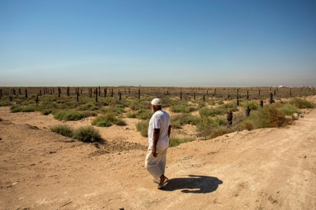 As neighbours build dams, Iraqis watch twin rivers dry up