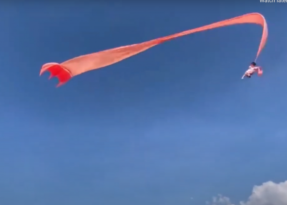 WATCH: Taiwanese boy survives terrifying kite flight