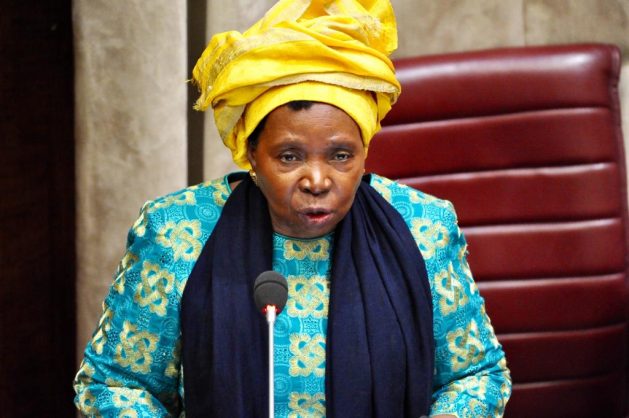 SA moves from 'eye of the storm', but virus remains a threat - Dlamini-Zuma