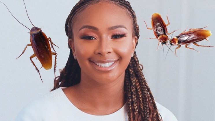 SA wonât forgive Boity for calling people âroachesâ