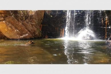 Second body in less than three weeks found in ‘holy’ waters of Roodepoort park