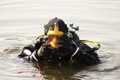 Bodies of missing Khayelitsha kids found in dam