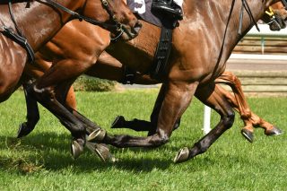 Monday and Tuesday's hot racing picks – The Citizen - Vimarsana News
