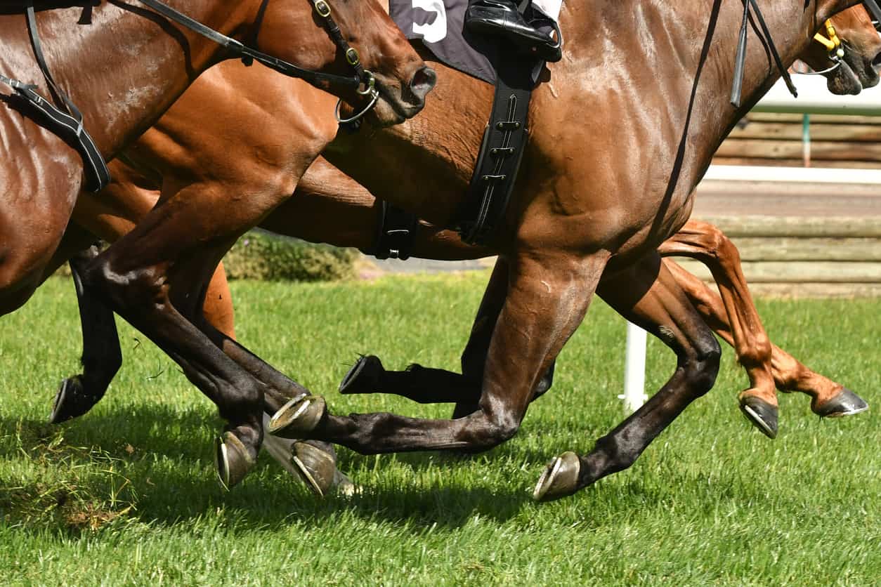 Youth is the word as Luke and Malmoos line up at Gauteng Guineas – The Citizen - Vimarsana News