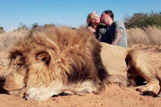 Business as usual for trophy hunting industry as SA tops exhibitor list – The Citizen - Vimarsana News