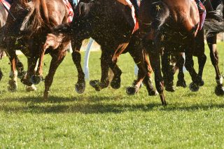 Holiday gifts galore for racing fans - Vimarsana News