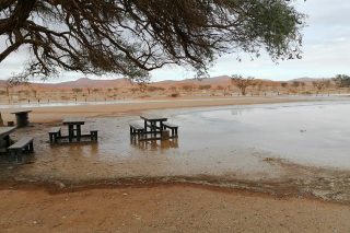 WATCH: Flooding in Namibia after heavy rains - Vimarsana News